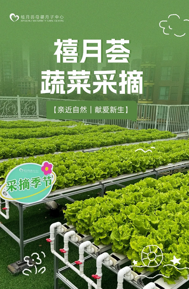 成都月子中心農場主|共享菜地，開啟有機坐月子生活1